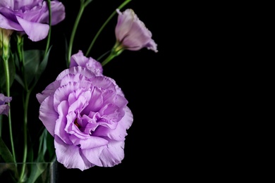 Beautiful bouquet of Eustoma flowers on black background, close up view