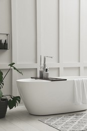 Modern ceramic bathtub and green plant near white wall indoors