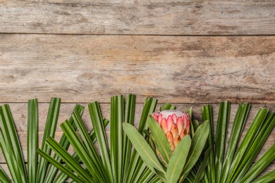 Photo of Creative flat lay composition with protea flower and tropical leaves on wooden background