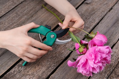 Woman trimming beautiful pink peonies with secateurs at wooden table, closeup