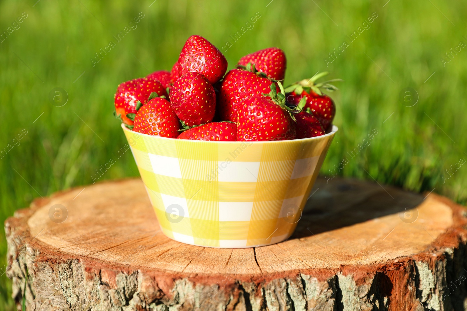 Photo of Bowl of ripe strawberries on tree stump outdoors, closeup