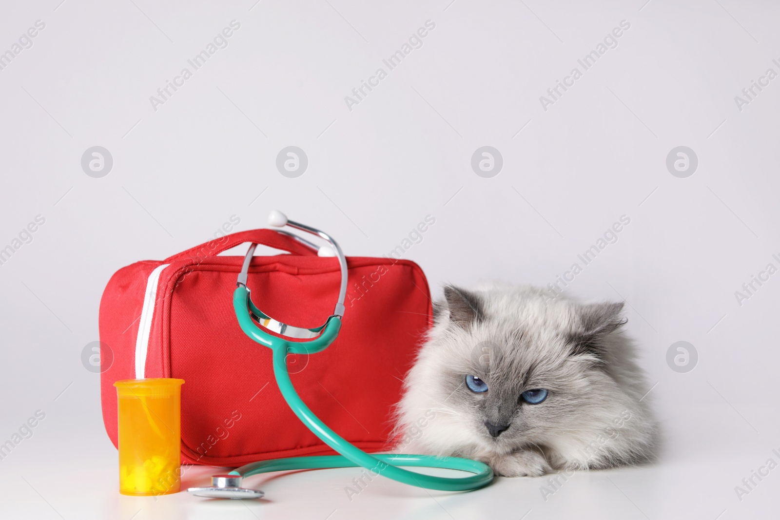 Photo of First aid kit and cute cat on light background. Animal care