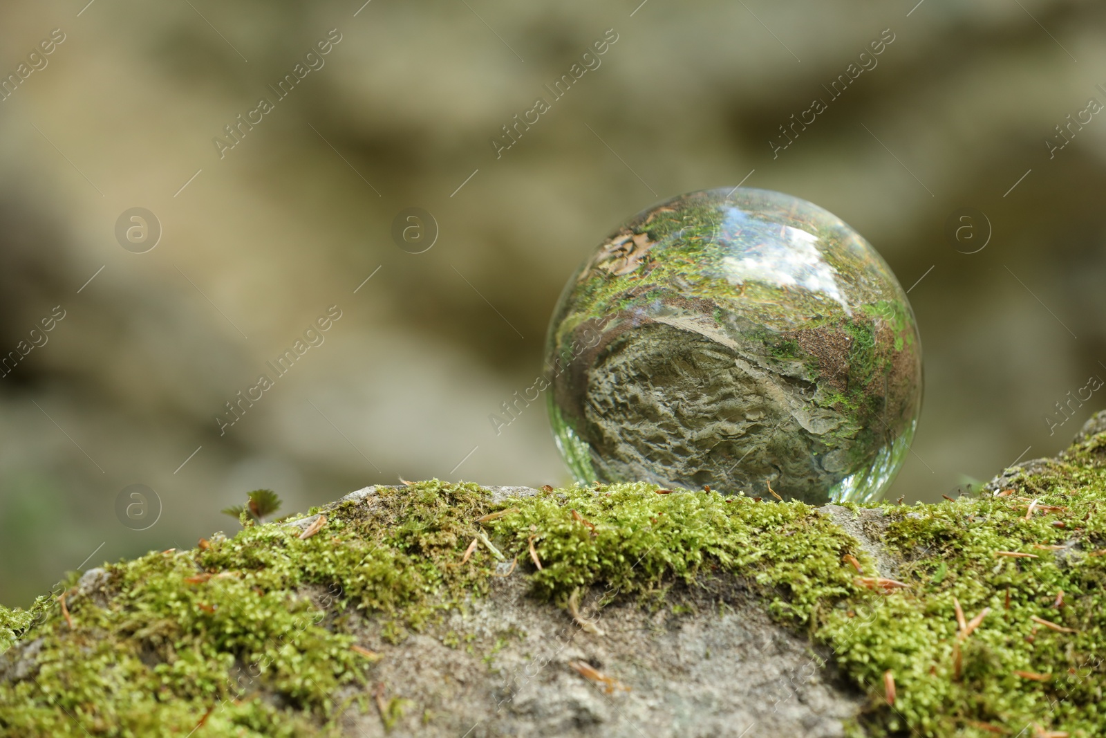 Photo of Beautiful forest, overturned reflection. Crystal ball on stone surface with moss outdoors. Space for text