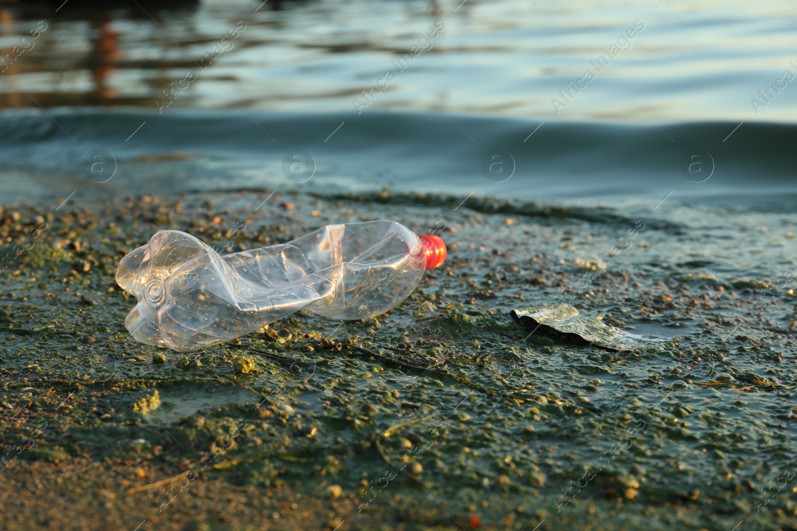 Photo of Used plastic bottle near water at beach, space for text. Environment pollution