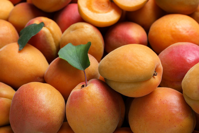 Delicious fresh ripe apricots as background, closeup