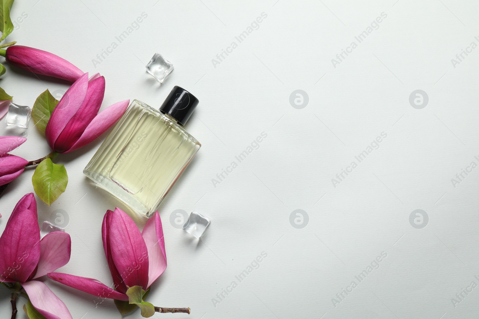 Photo of Beautiful pink magnolia flowers, bottle of perfume and ice cubes on light grey background, flat lay. Space for text