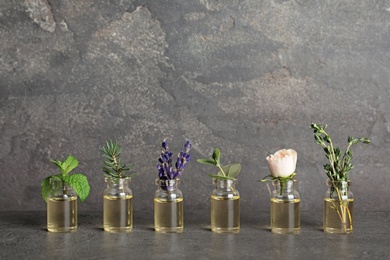 Glass bottles with different essential oils and herbs on gray background