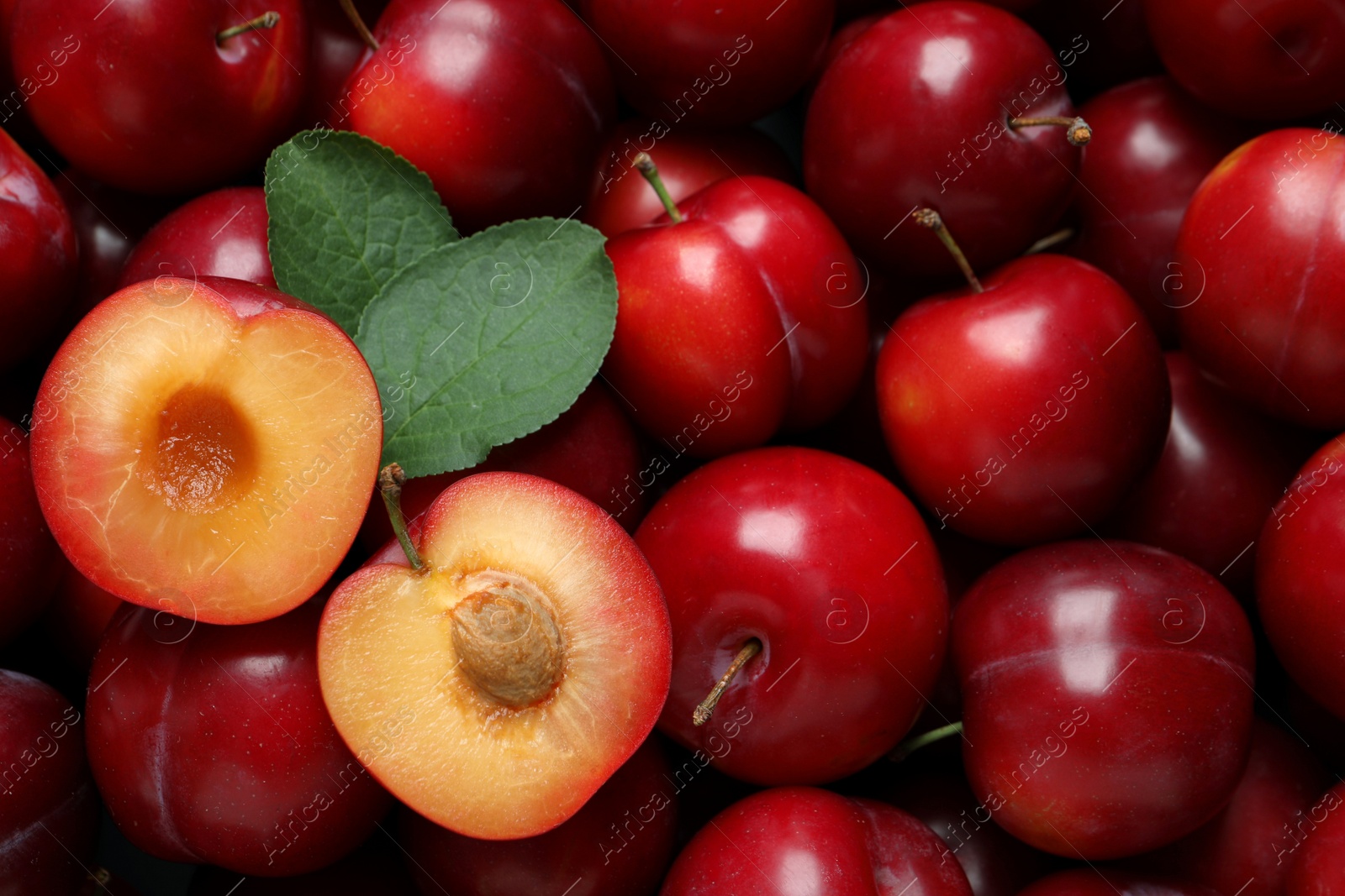 Photo of Fresh ripe cherry plums as background, closeup