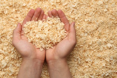 Photo of Woman holding dry natural sawdust, top view