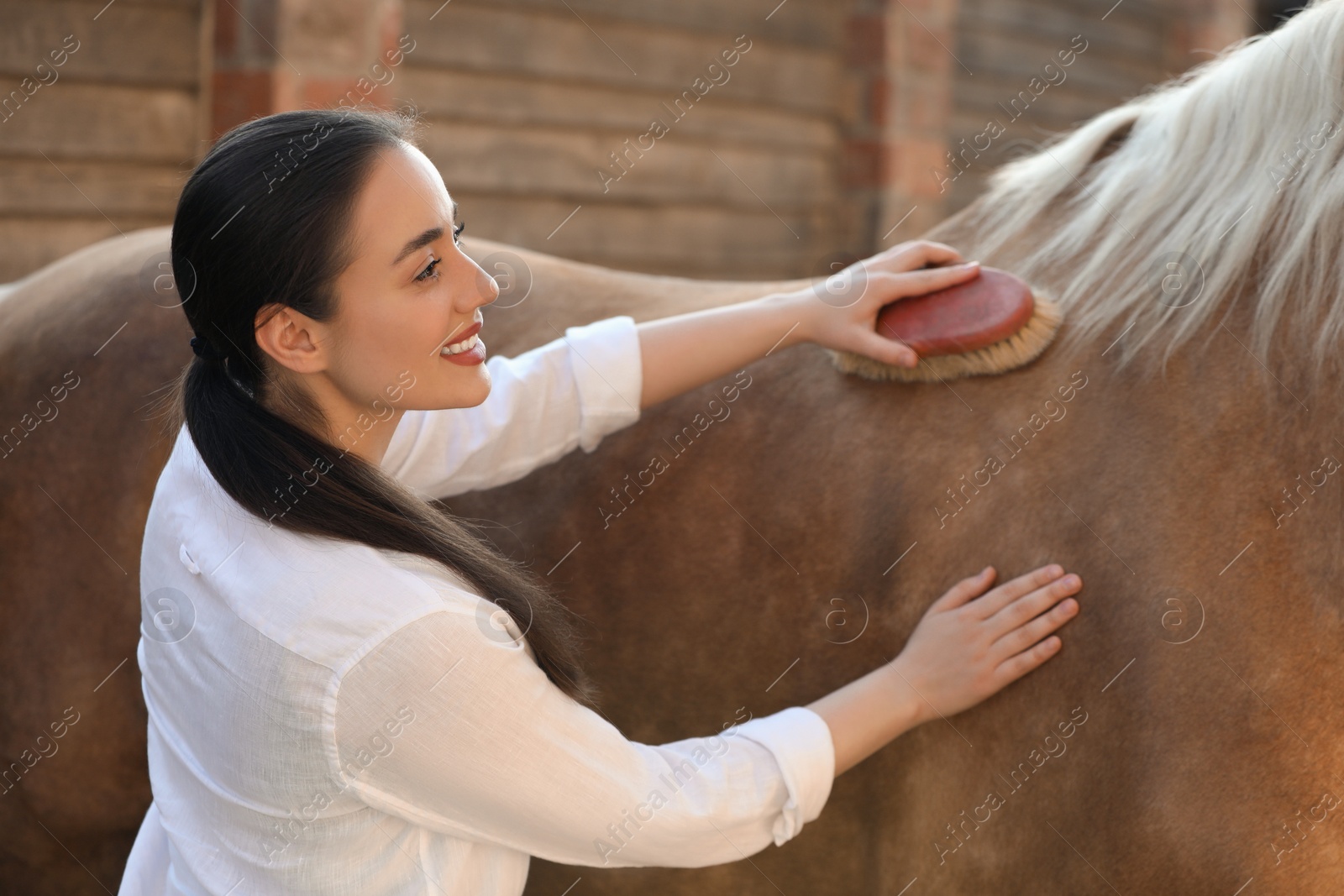 Photo of Woman brushing adorable horse outdoors. Pet care