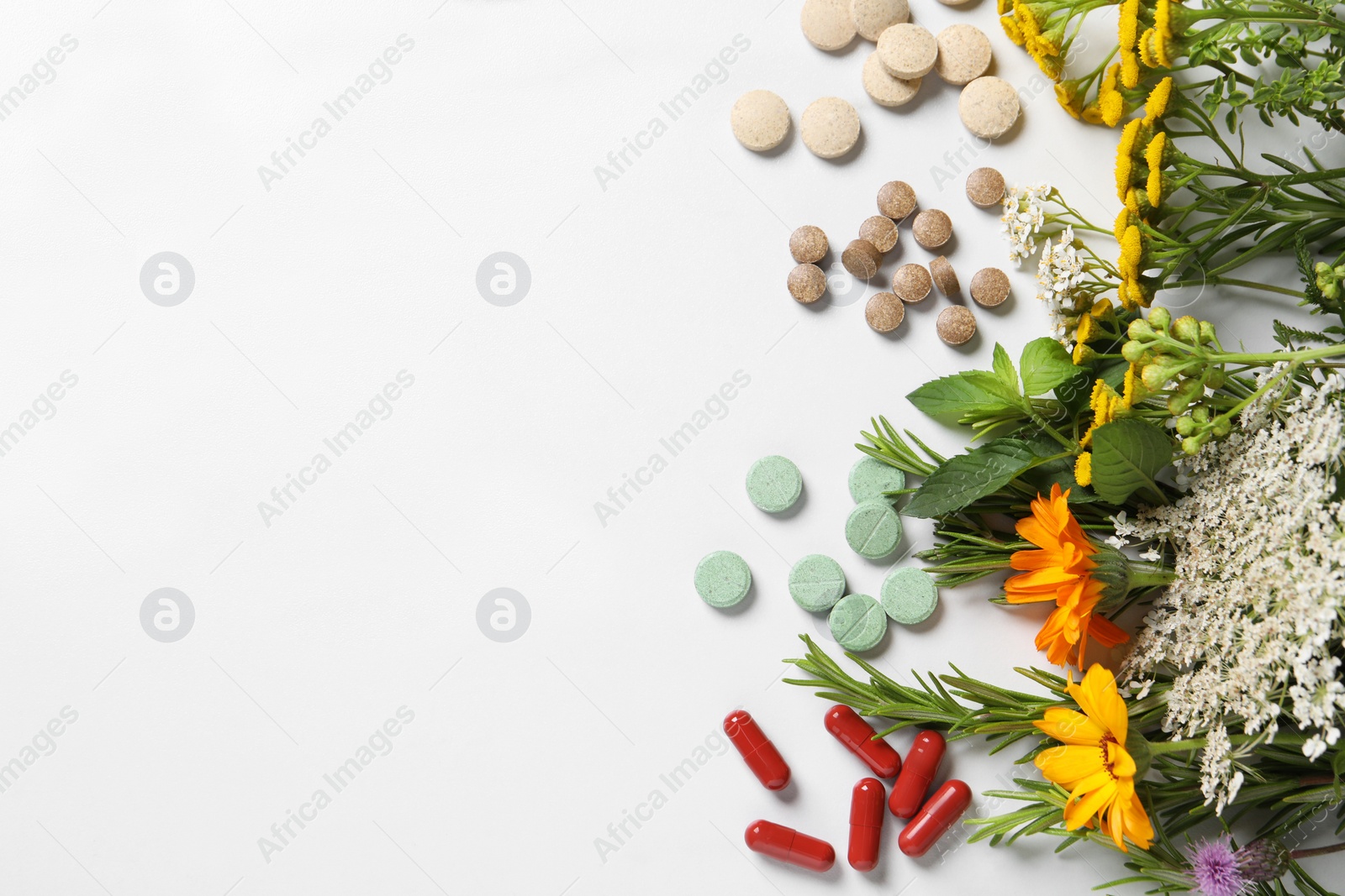 Photo of Different pills, herbs and flowers on white background, flat lay with space for text. Dietary supplements