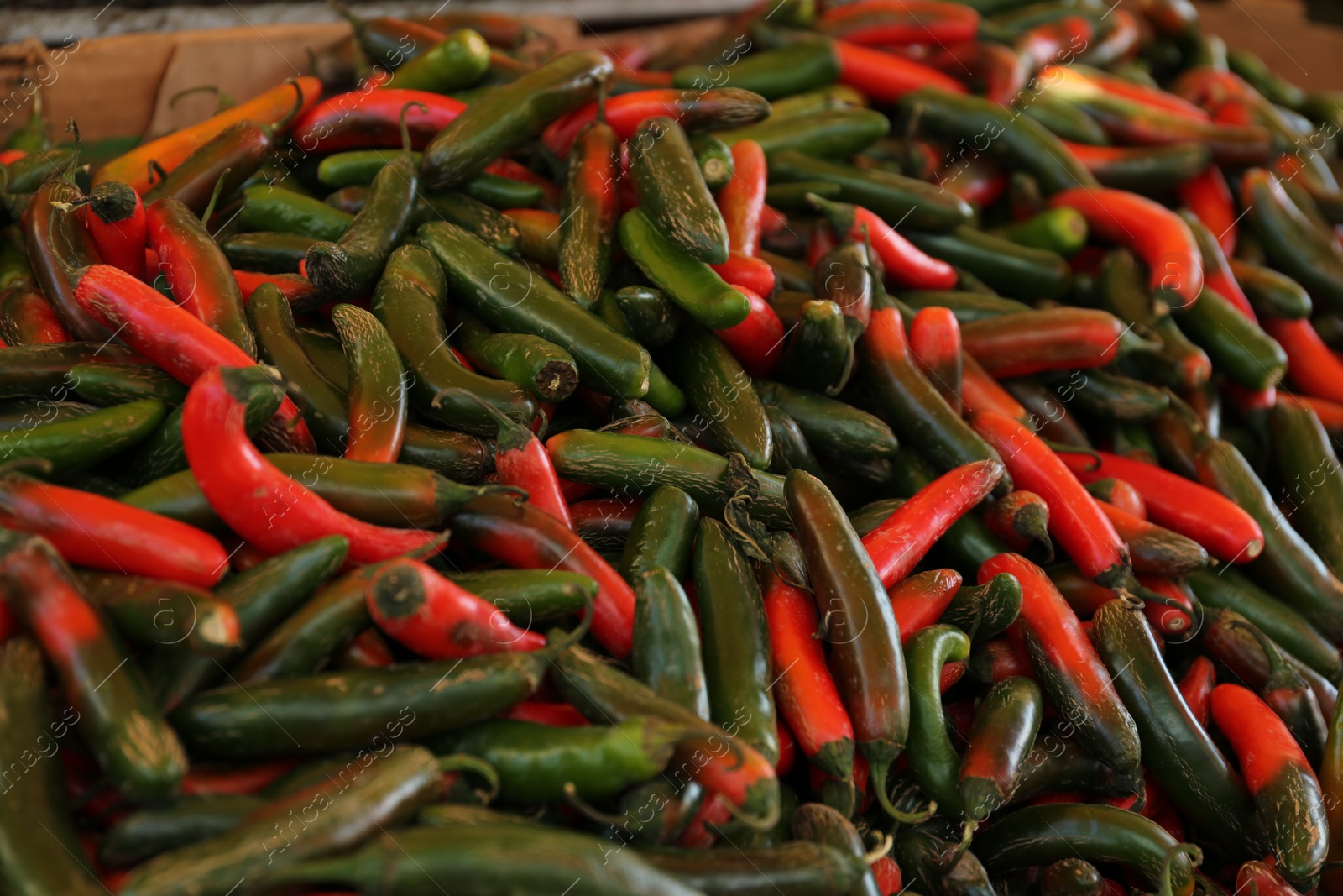 Photo of Heap of fresh Serrano peppers on counter at market, closeup