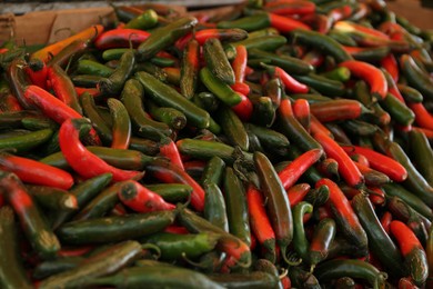Photo of Heap of fresh Serrano peppers on counter at market, closeup