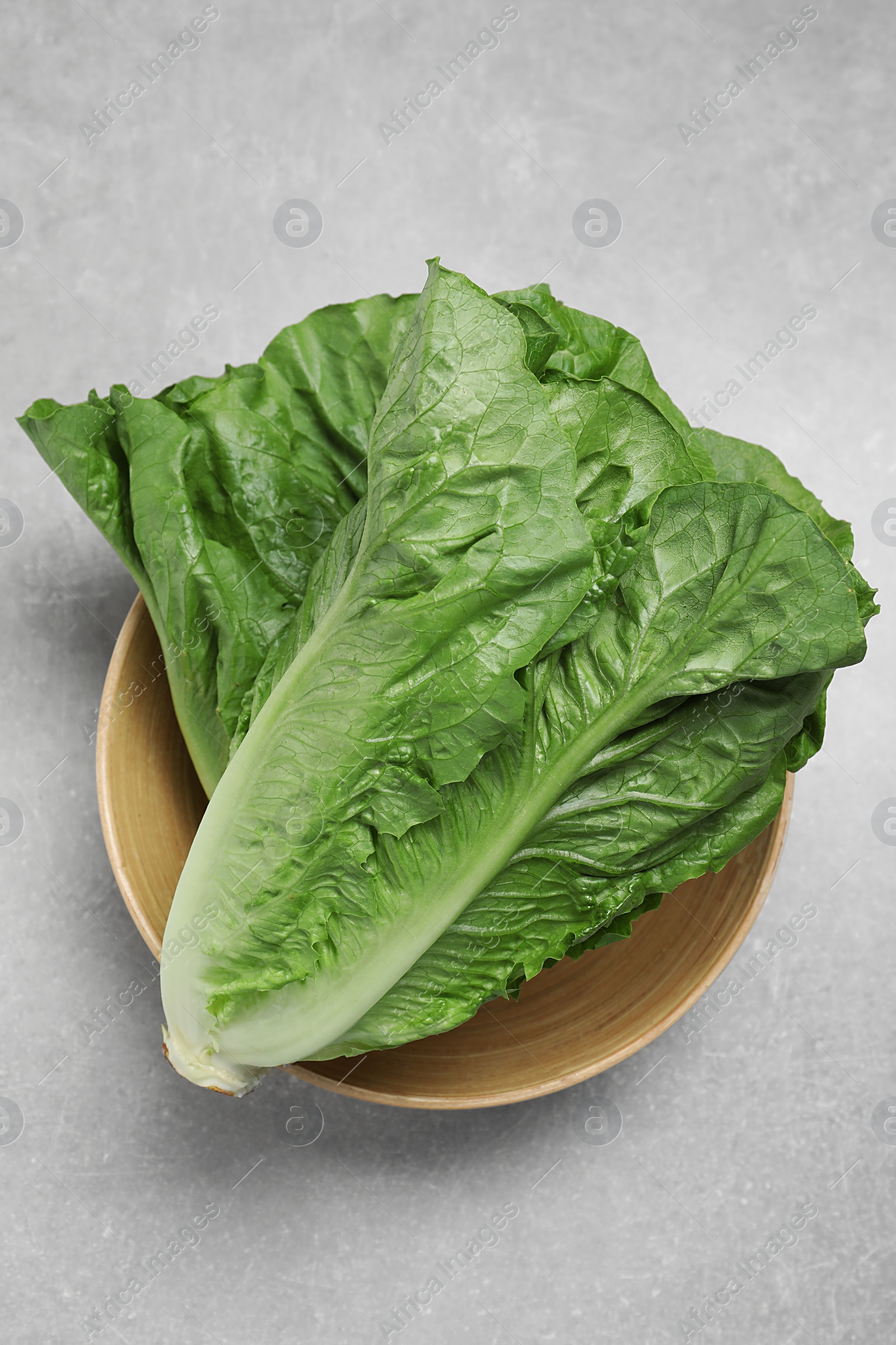 Photo of Fresh green romaine lettuces on light grey table, top view