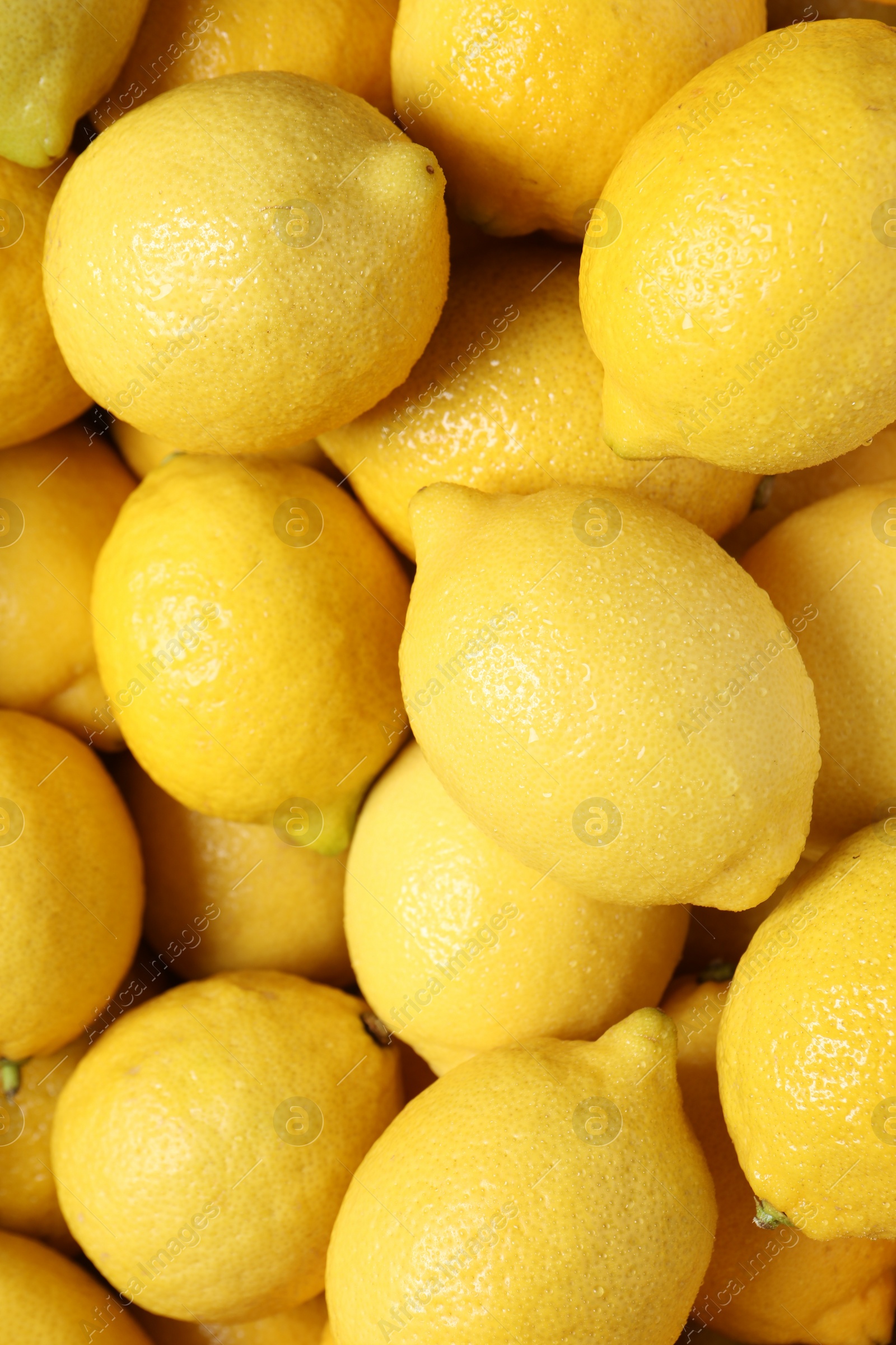 Photo of Fresh lemons with water drops as background, closeup