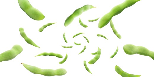 Many green edamame pods falling on white background