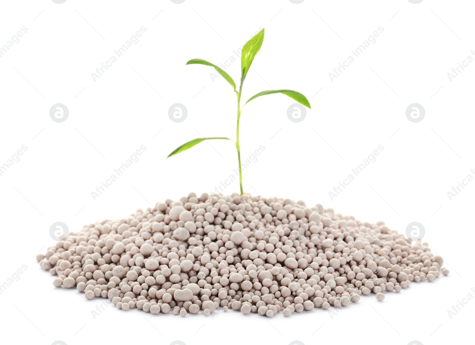Photo of Pile of chemical fertilizer and green plant isolated on white. Gardening time