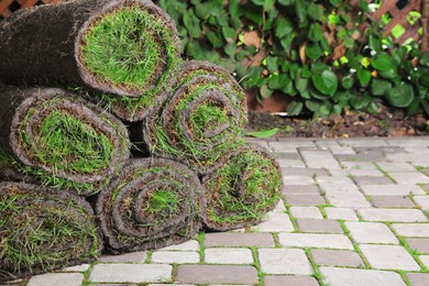 Rolls of sod with grass on backyard, space for text