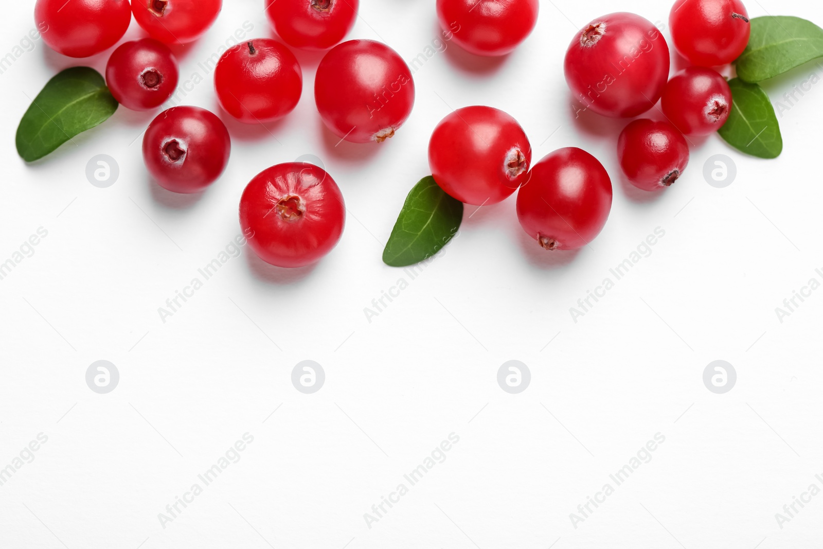 Photo of Fresh ripe cranberries and green leaves on white background, flat lay. Space for text