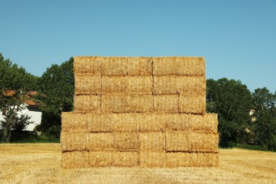 Many hay bales outdoors on sunny day