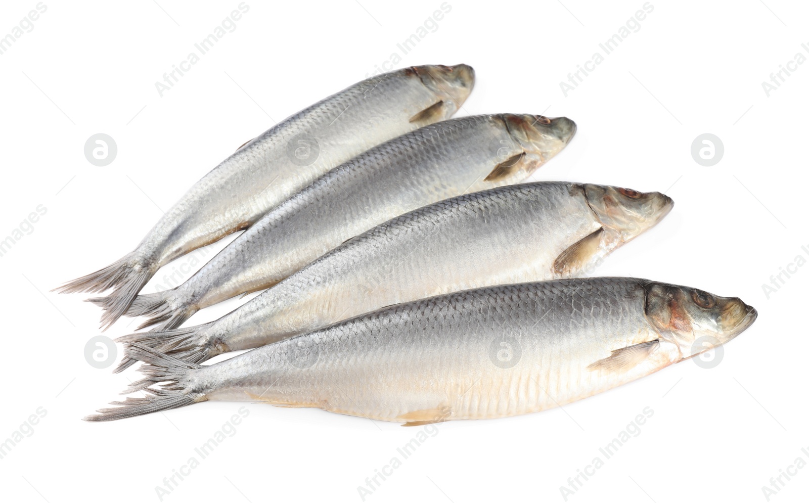 Photo of Whole delicious salted herrings isolated on white