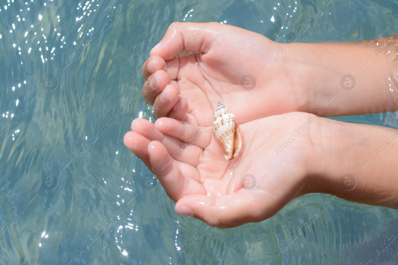 Photo of Kid holding seashell in hands above water outdoors, closeup