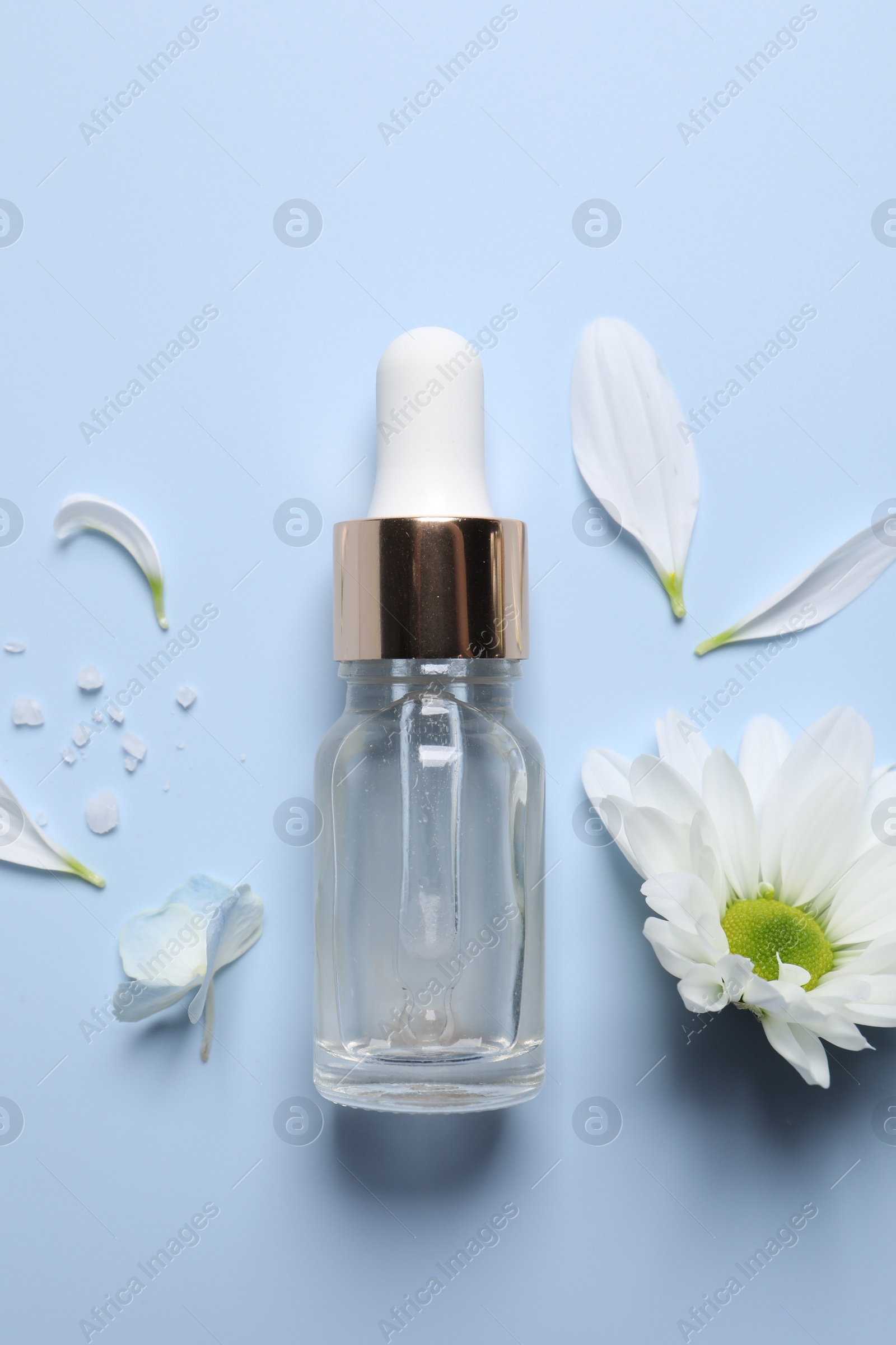 Photo of Bottle of cosmetic serum, flowers, petals and sea salt on light blue background, flat lay