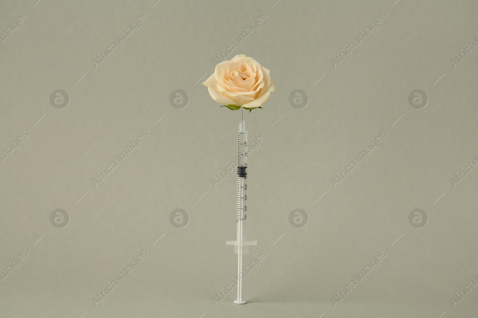 Photo of Medical syringe and rose flower on light grey background