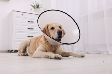 Cute Labrador Retriever with protective cone collar lying on floor in room