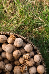 Photo of Wicker basket with walnuts on green grass outdoors, top view. Space for text