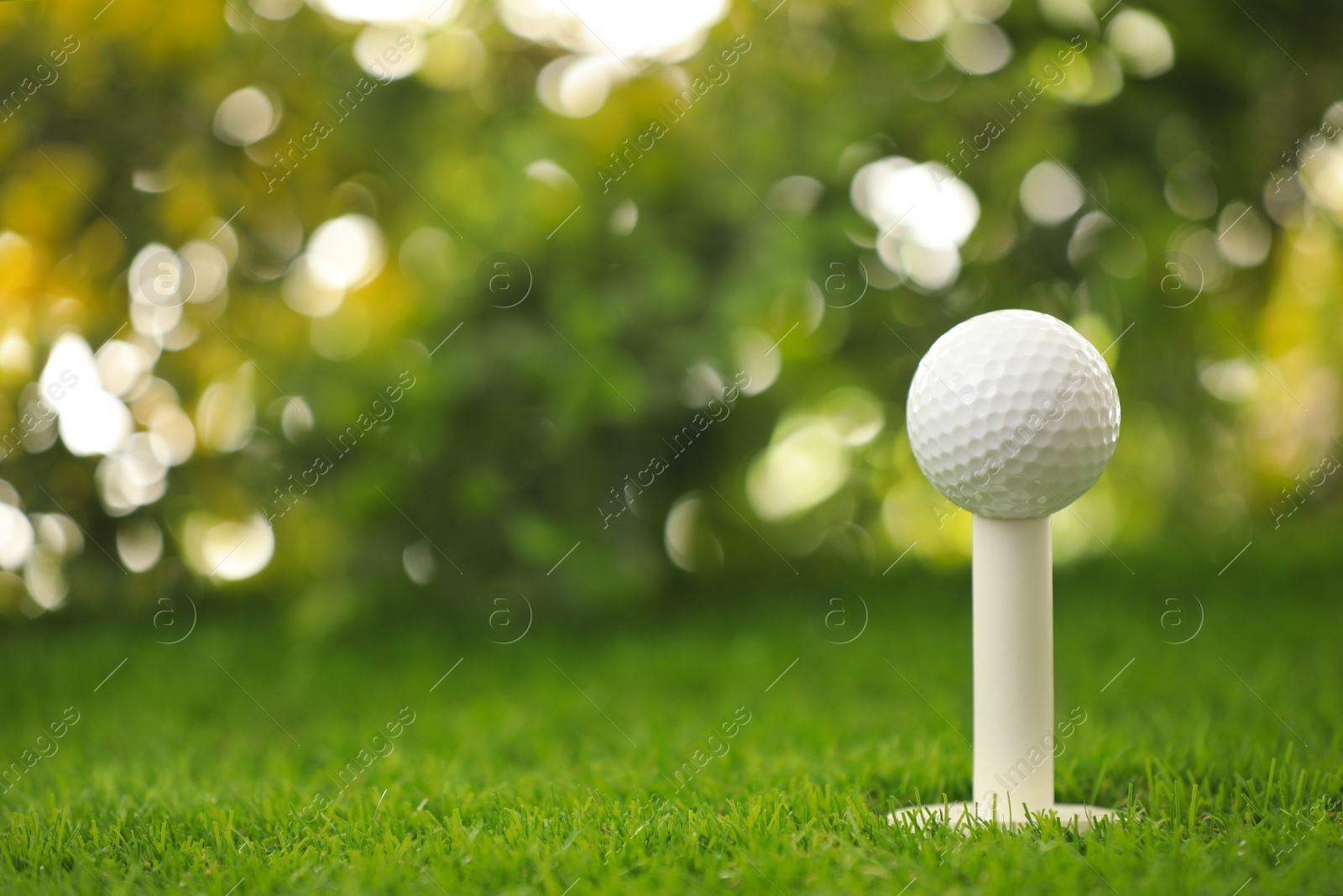 Photo of Golf ball on tee at green course