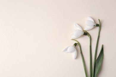 Photo of Beautiful snowdrops on beige background, flat lay. Space for text