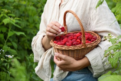 Photo of Woman holding wicker basket with ripe raspberries outdoors, closeup