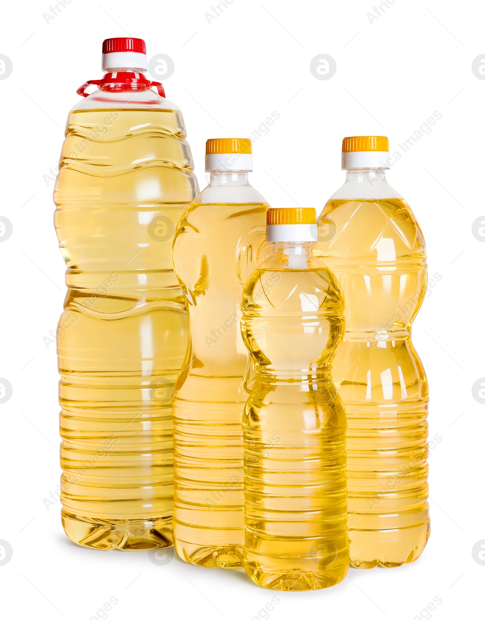 Bottles of cooking oil on white background Photo of Bottles of cooking oil on white background