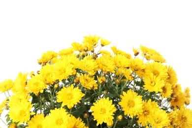 Photo of Beautiful bouquet of colorful chrysanthemum flowers on white background