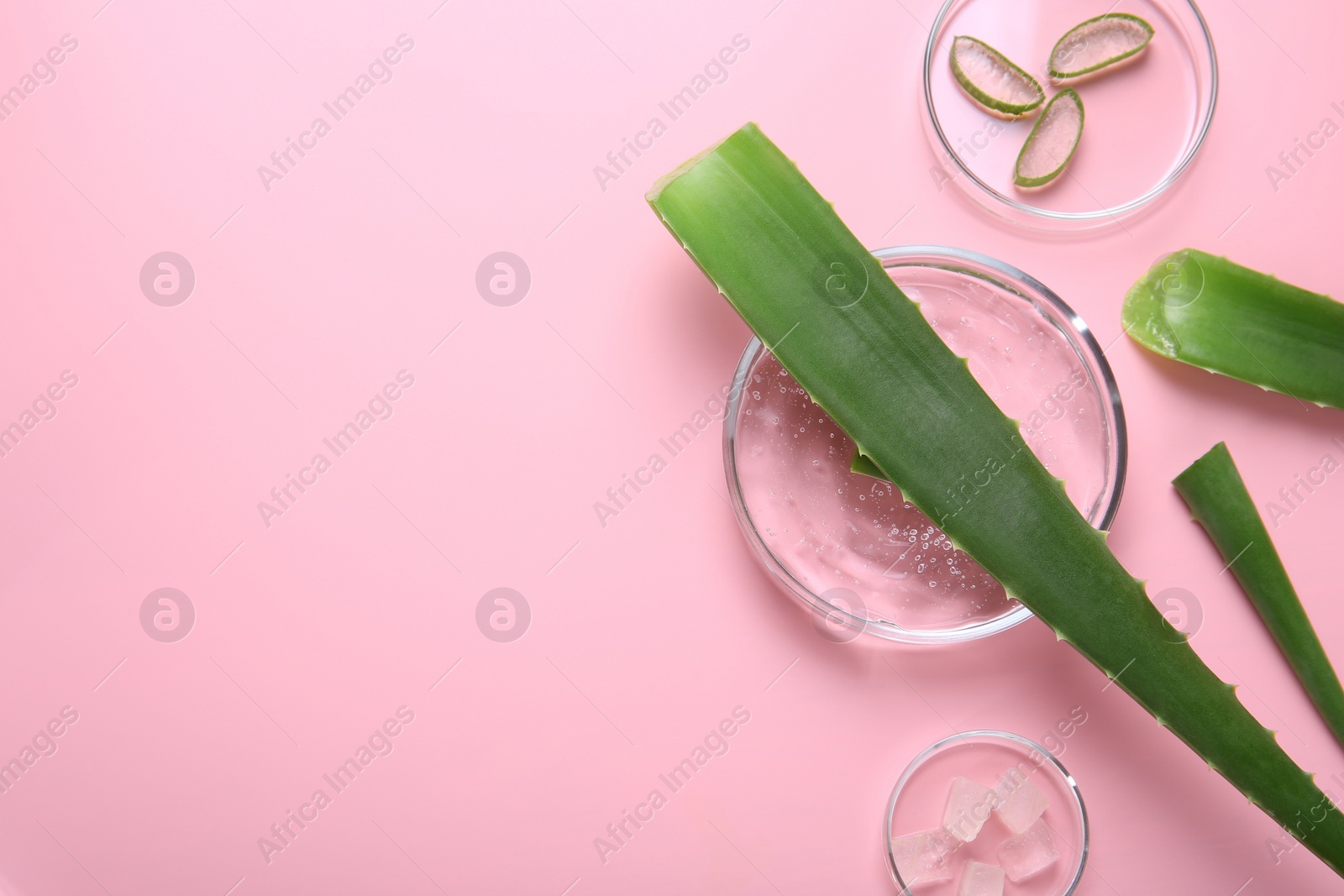 Photo of Flat lay composition with aloe vera leaves and cosmetic gel on pink background. Space for text