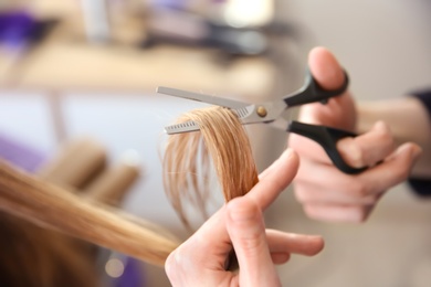 Photo of Professional hairdresser working with client in salon