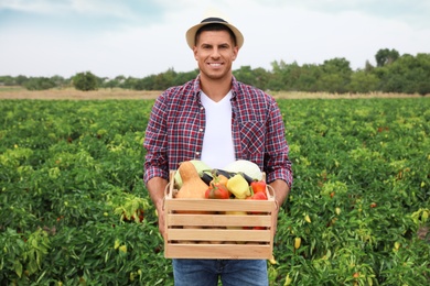 Photo of Farmer with wooden crate full of different vegetables in field. Harvesting time