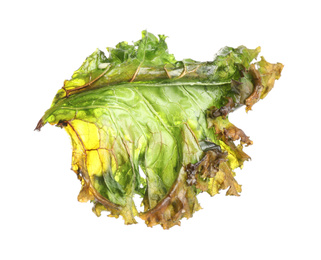Photo of Tasty baked kale chip isolated on white