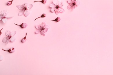 Photo of Beautiful spring tree blossoms as border on pink background, flat lay. Space for text