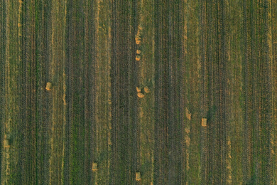Photo of Aerial view of green mowed field with hay blocks outdoors. Agricultural industry
