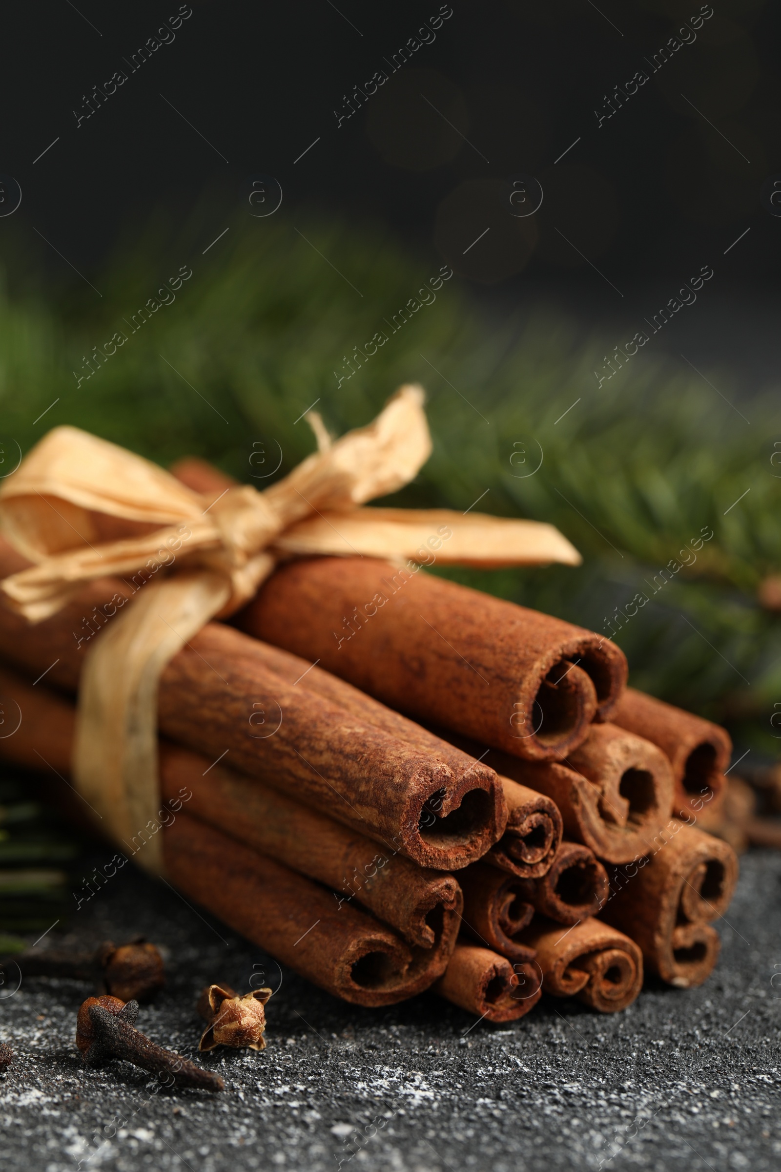 Photo of Different spices. Aromatic cinnamon sticks and clove seeds on dark gray textured table, closeup