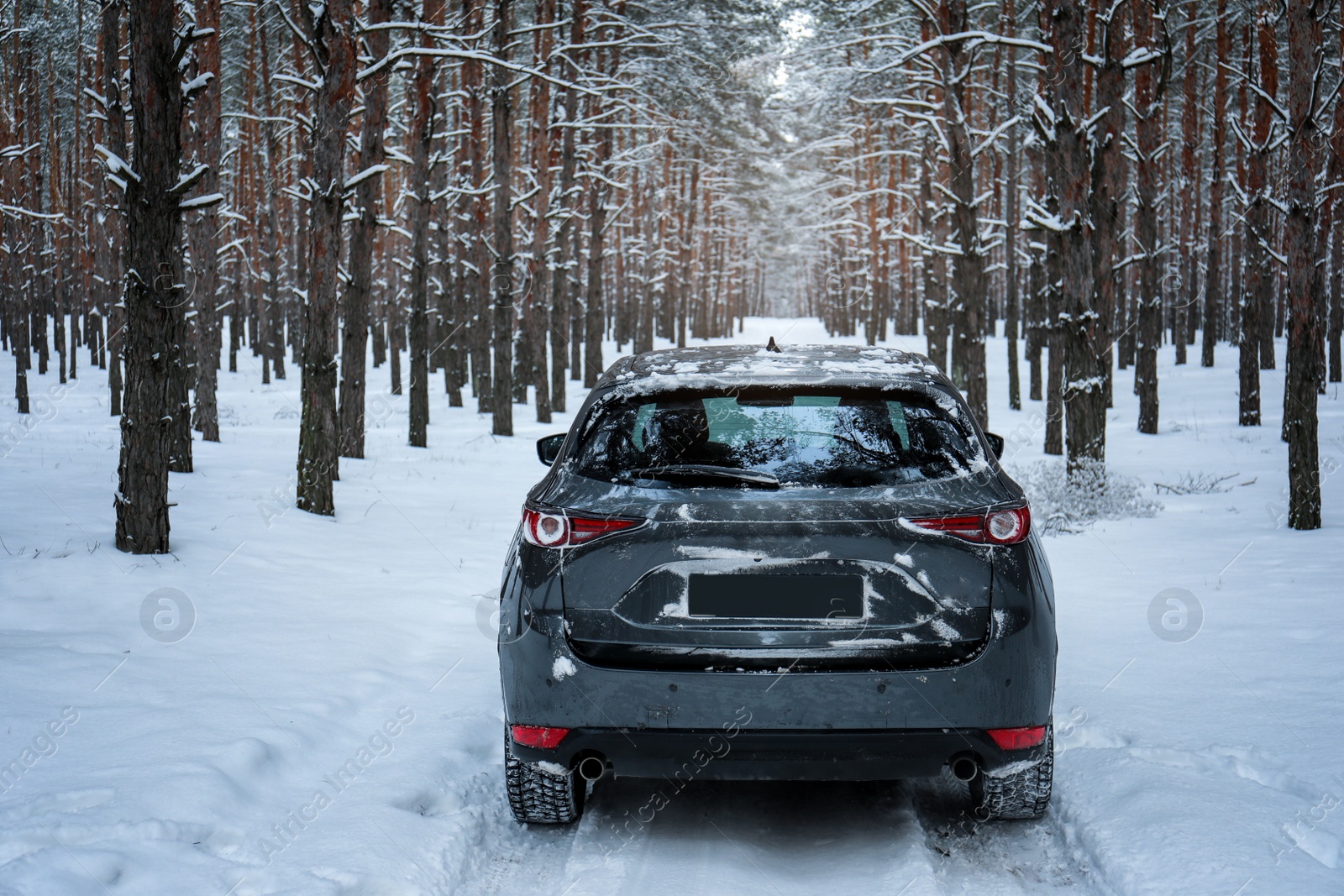 Photo of Snowy country road with car on winter day