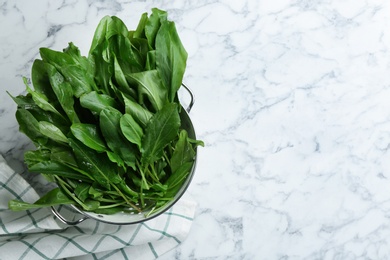 Photo of Fresh green sorrel leaves on white marble table, flat lay. Space for text