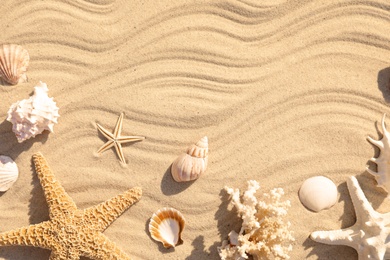 Photo of Starfishes and seashells on beach sand with wave pattern, flat lay. Space for text