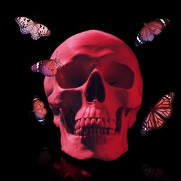Image of Skull and beautiful butterflies on black background
