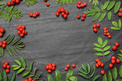 Frame of fresh ripe rowan berries and green leaves on black table, flat lay. Space for text