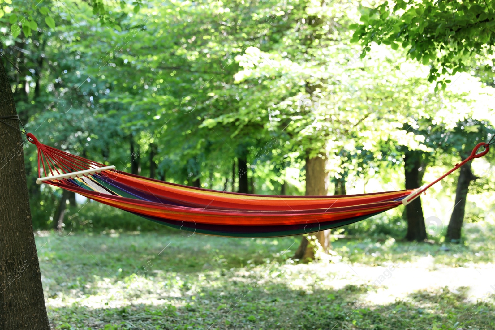 Photo of Empty hammock outdoors on sunny day. Summer camp