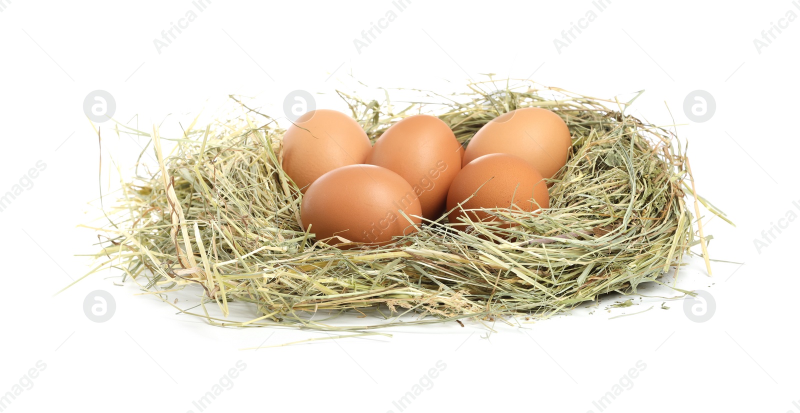 Photo of Chicken eggs in nest isolated on white