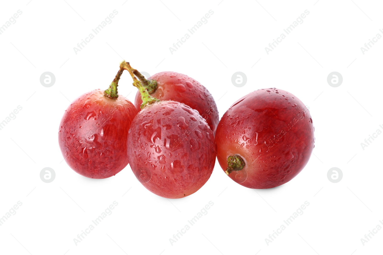 Photo of Delicious ripe red grapes with water drops isolated on white
